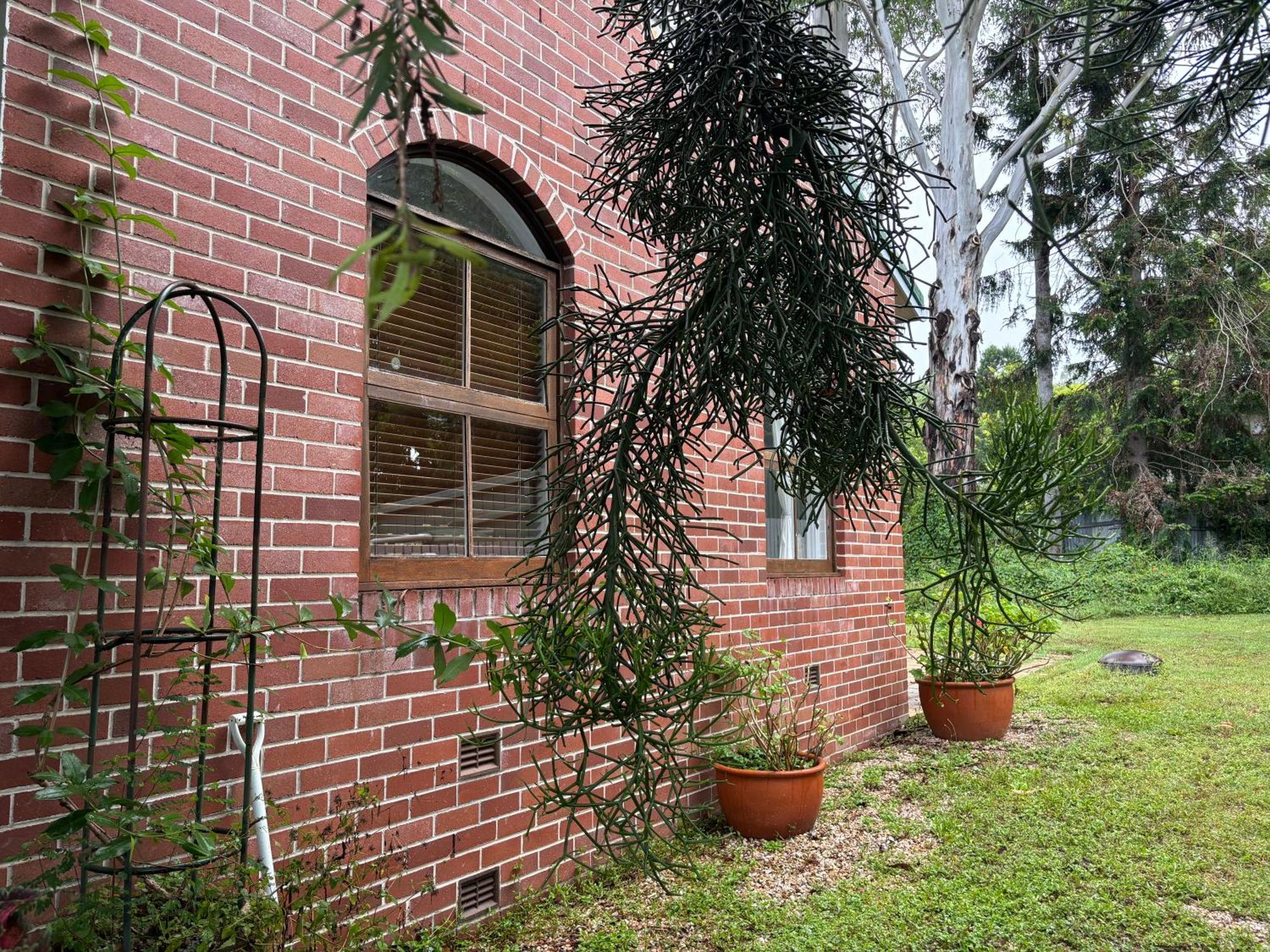 Celestial Dew Guesthouse In Tyalgum Exteriör bild
